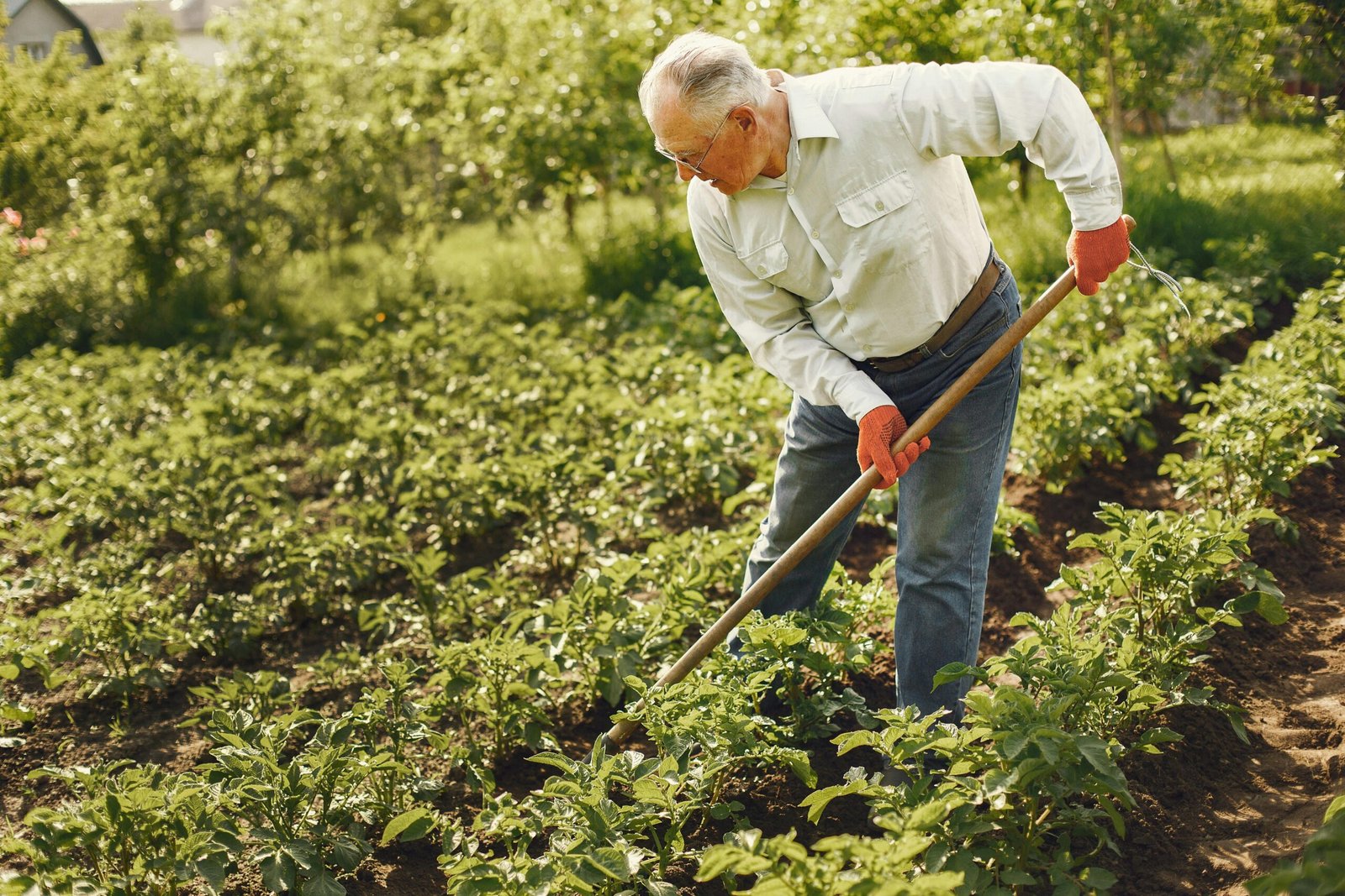 The Top Plants and Crops to Grow